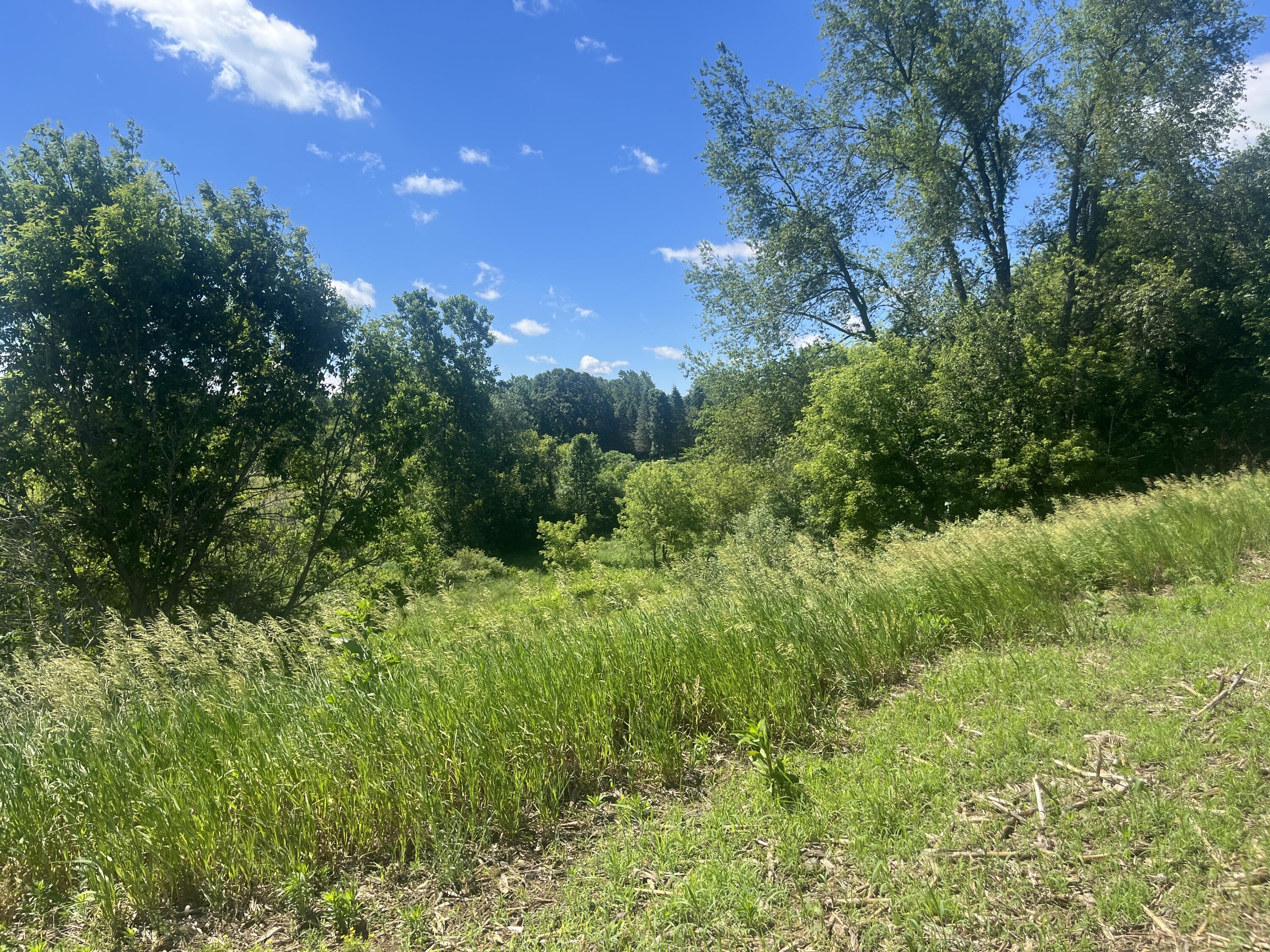 0 Fahrner Road Chelsea, MI 48118 - Photo 21 of 31 Fahrner Rd - 15