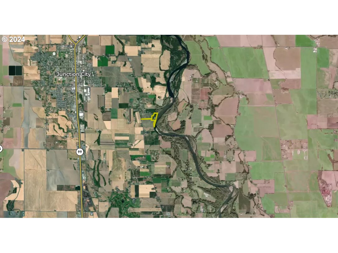 93579 River Road Junction City, OR 97448 - Photo 12 of 20