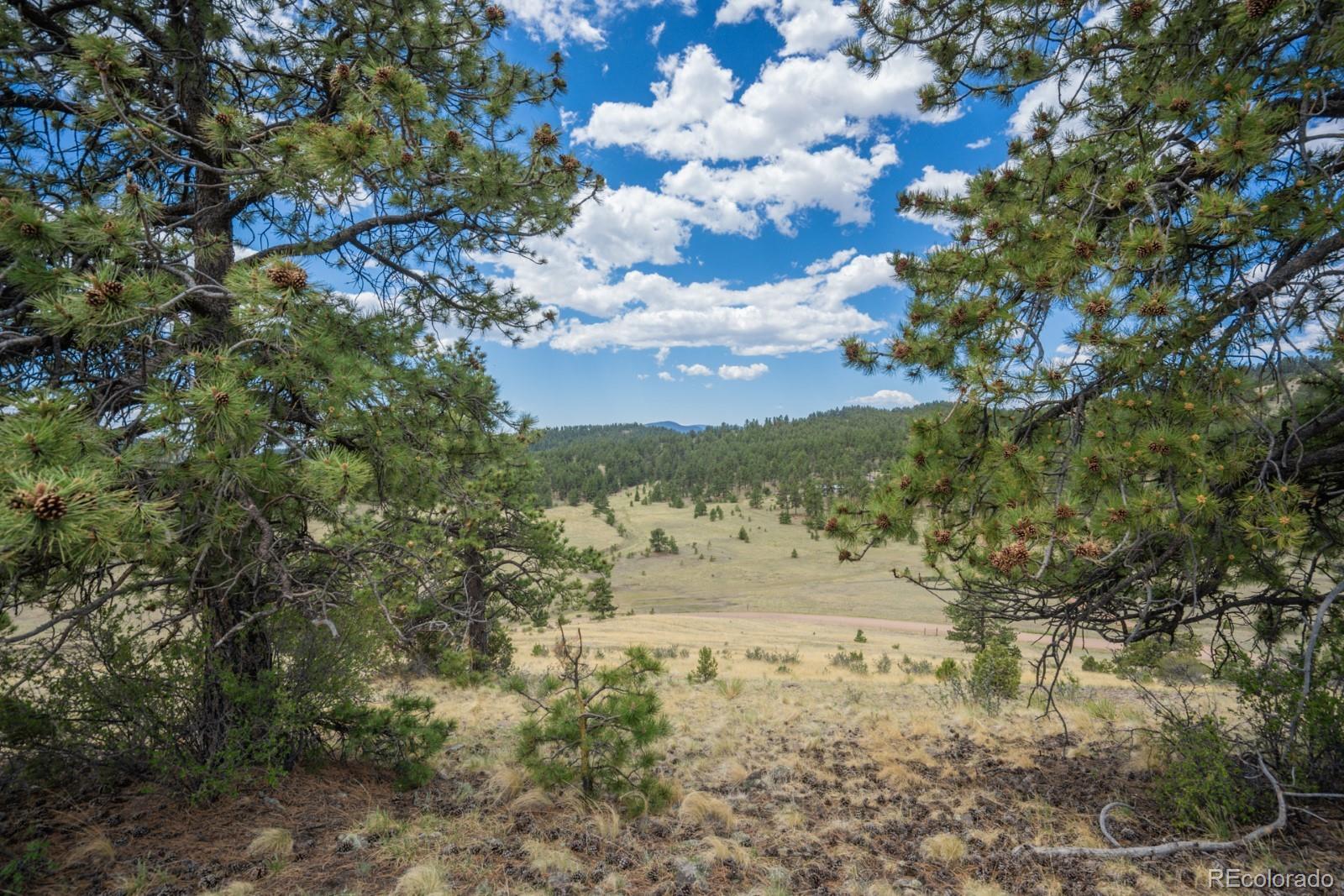 Lot 25 Julia Road Guffey, CO 80820 - Photo 1 of 28