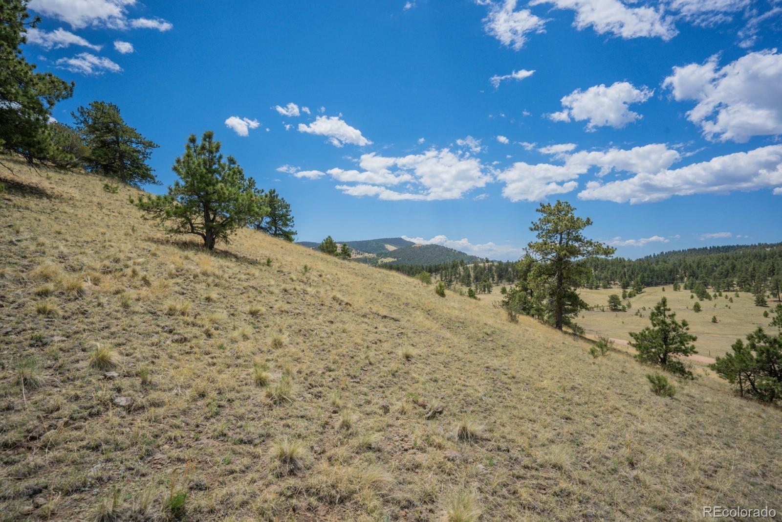 Lot 25 Julia Road Guffey, CO 80820 - Photo 17 of 28