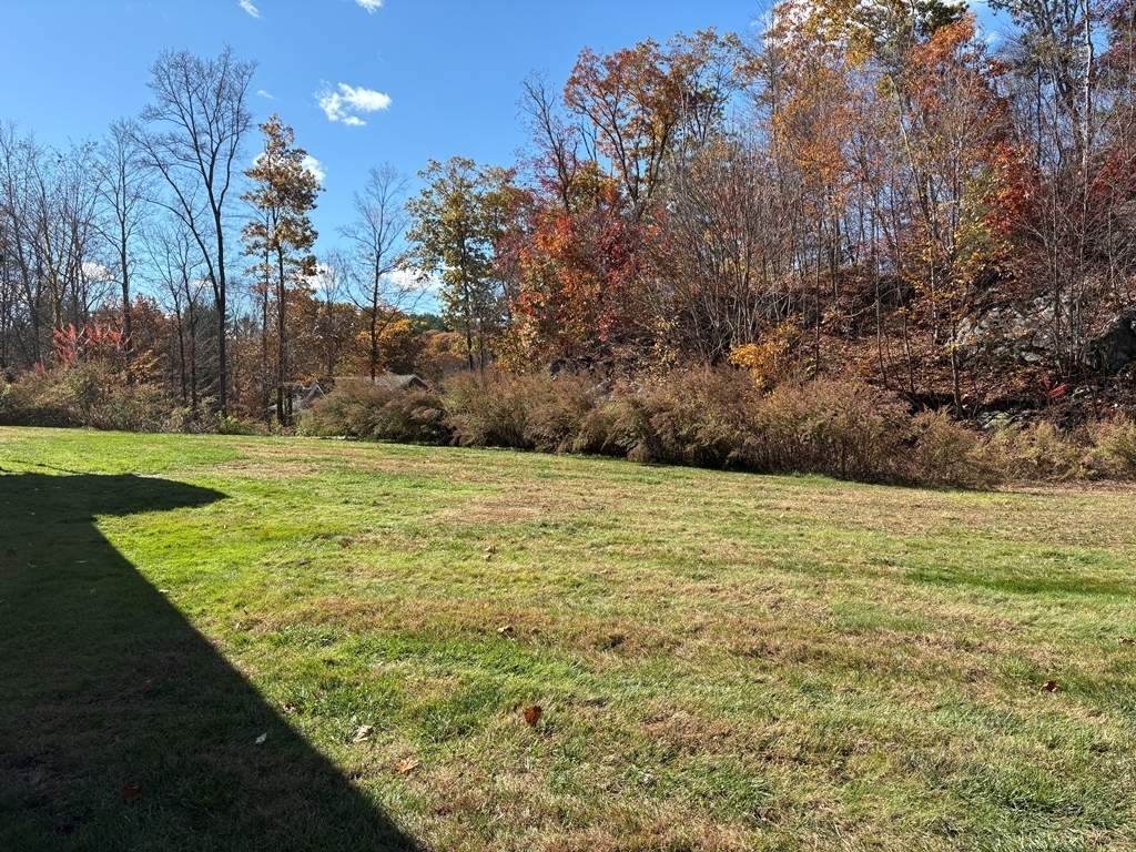 690 Greystone Road Plymouth, CT 06782 - Photo 15 of 16 a view of a field with an trees