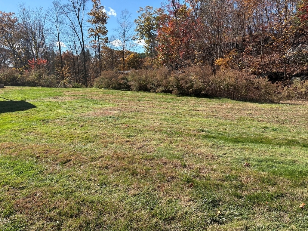 690 Greystone Road Plymouth, CT 06782 - Photo 16 of 16 a view of a yard with an trees