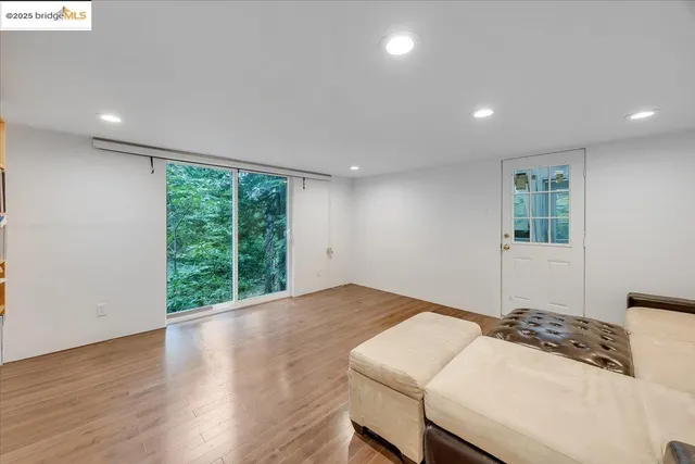 a view of a forest with trees