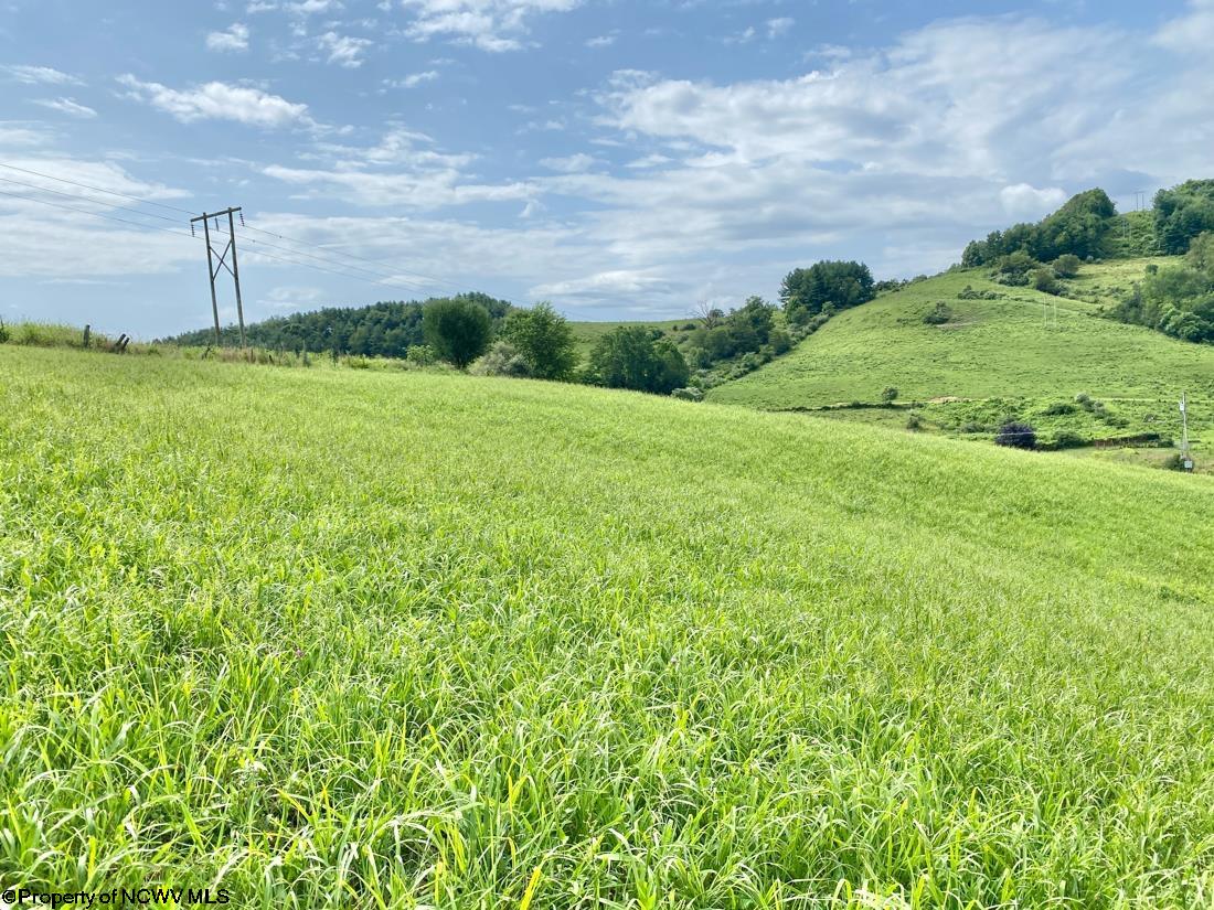 962 Stony Run Road Buckhannon, WV 26201 - Photo 20 of 38 Gallery Image 20