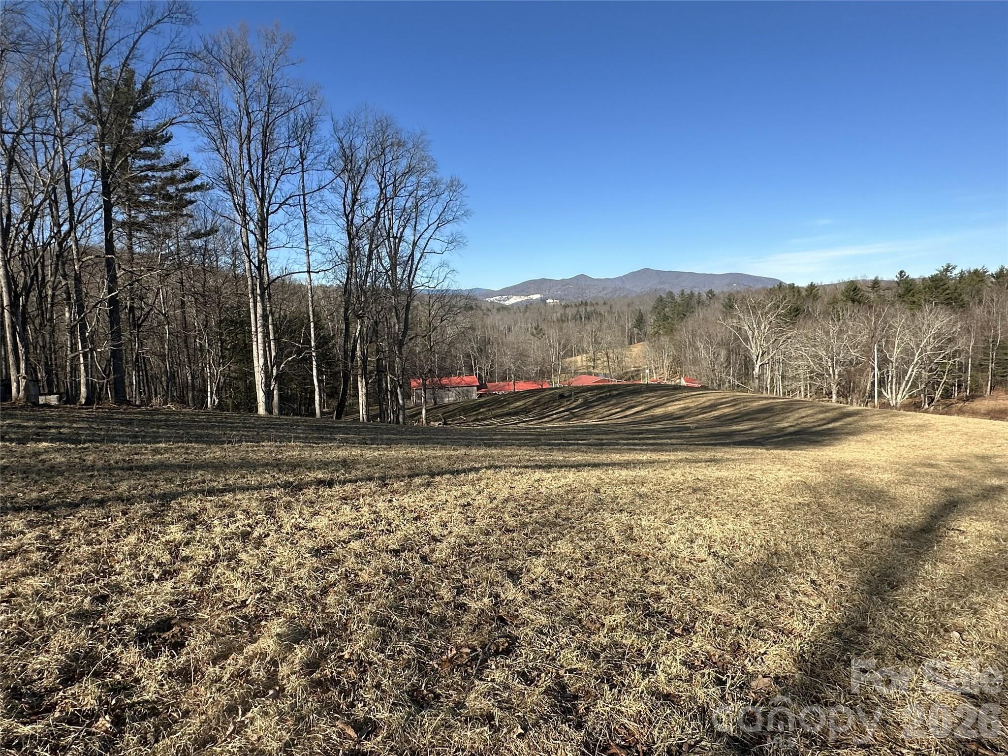 1050 Dale Road Spruce Pine, NC 28777 - Photo 12 of 46 a view of dirt yard with mountain view