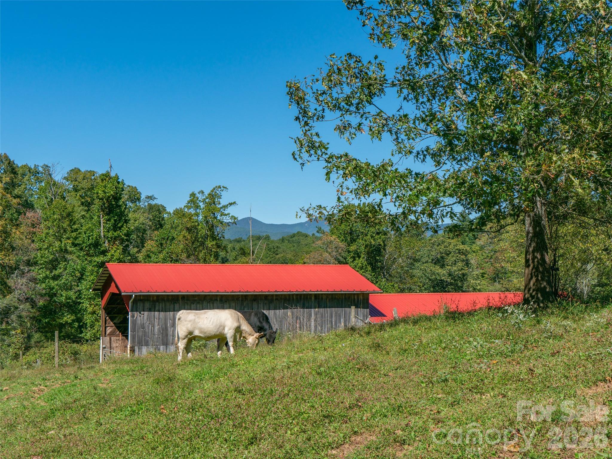 1050 Dale Road Spruce Pine, NC 28777 - Photo 16 of 46