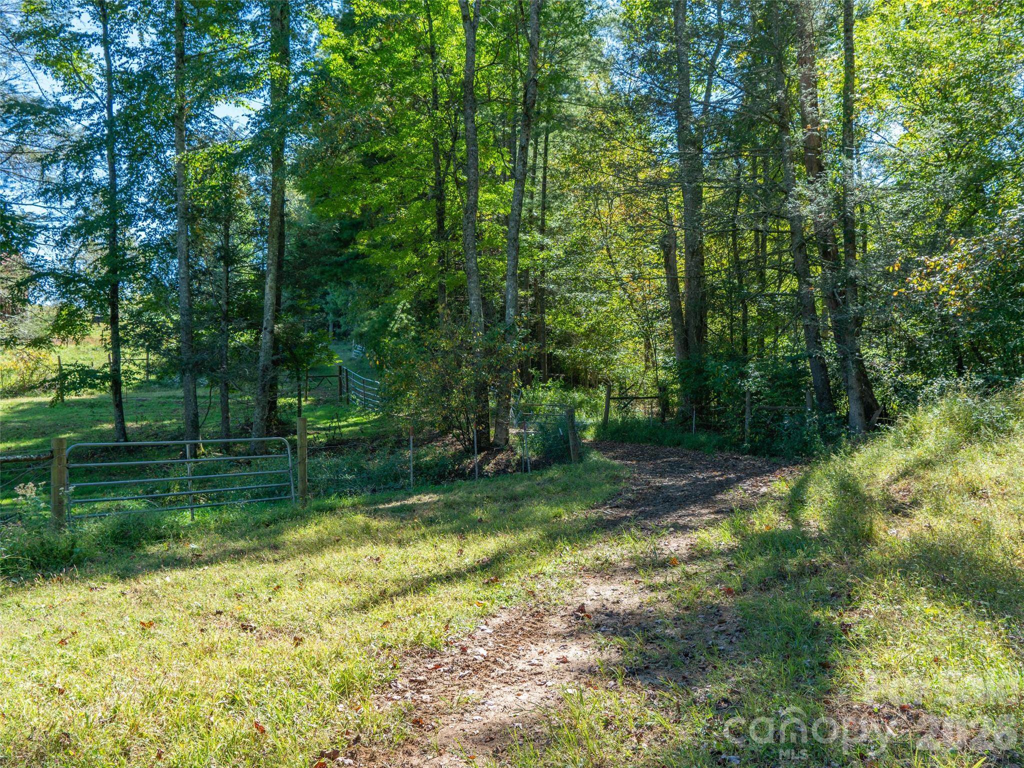 1050 Dale Road Spruce Pine, NC 28777 - Photo 27 of 46