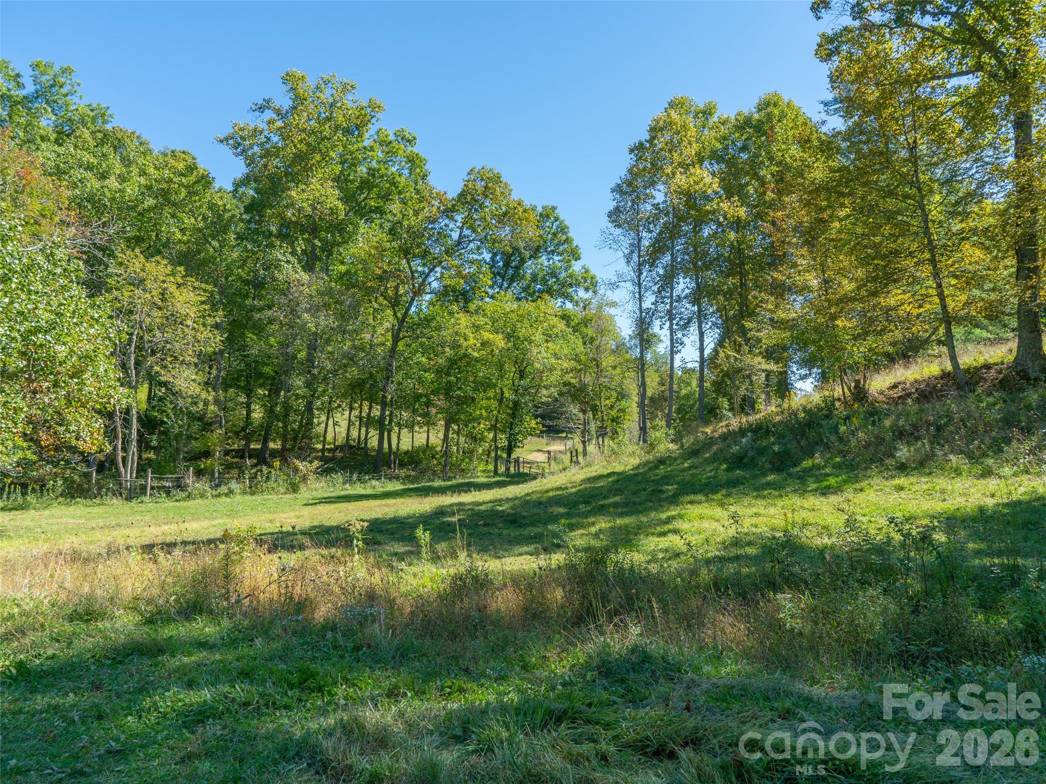 1050 Dale Road Spruce Pine, NC 28777 - Photo 28 of 46