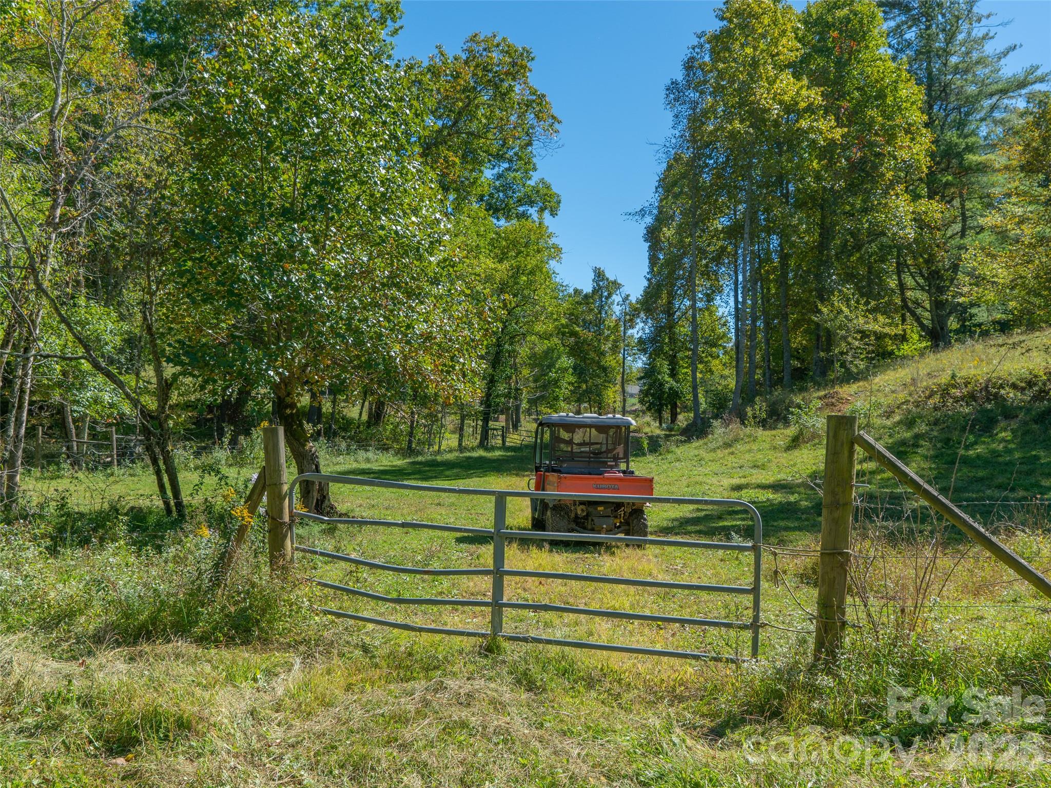 1050 Dale Road Spruce Pine, NC 28777 - Photo 29 of 46