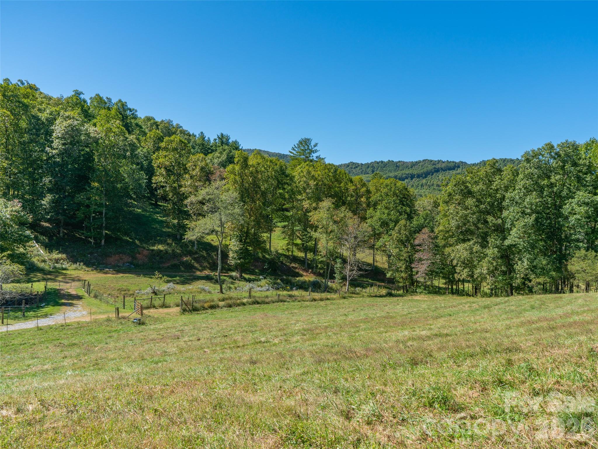 1050 Dale Road Spruce Pine, NC 28777 - Photo 31 of 46