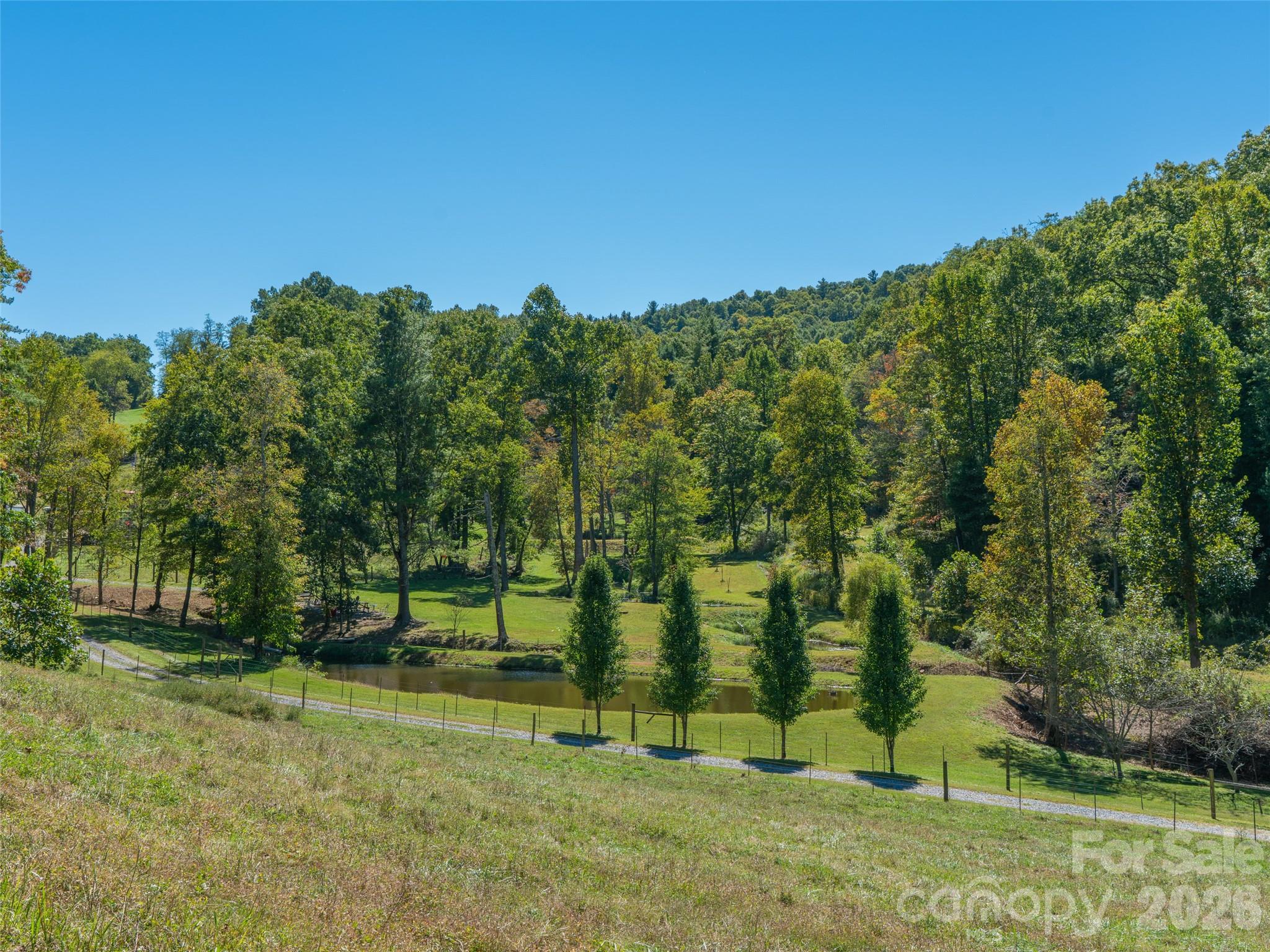 1050 Dale Road Spruce Pine, NC 28777 - Photo 32 of 46