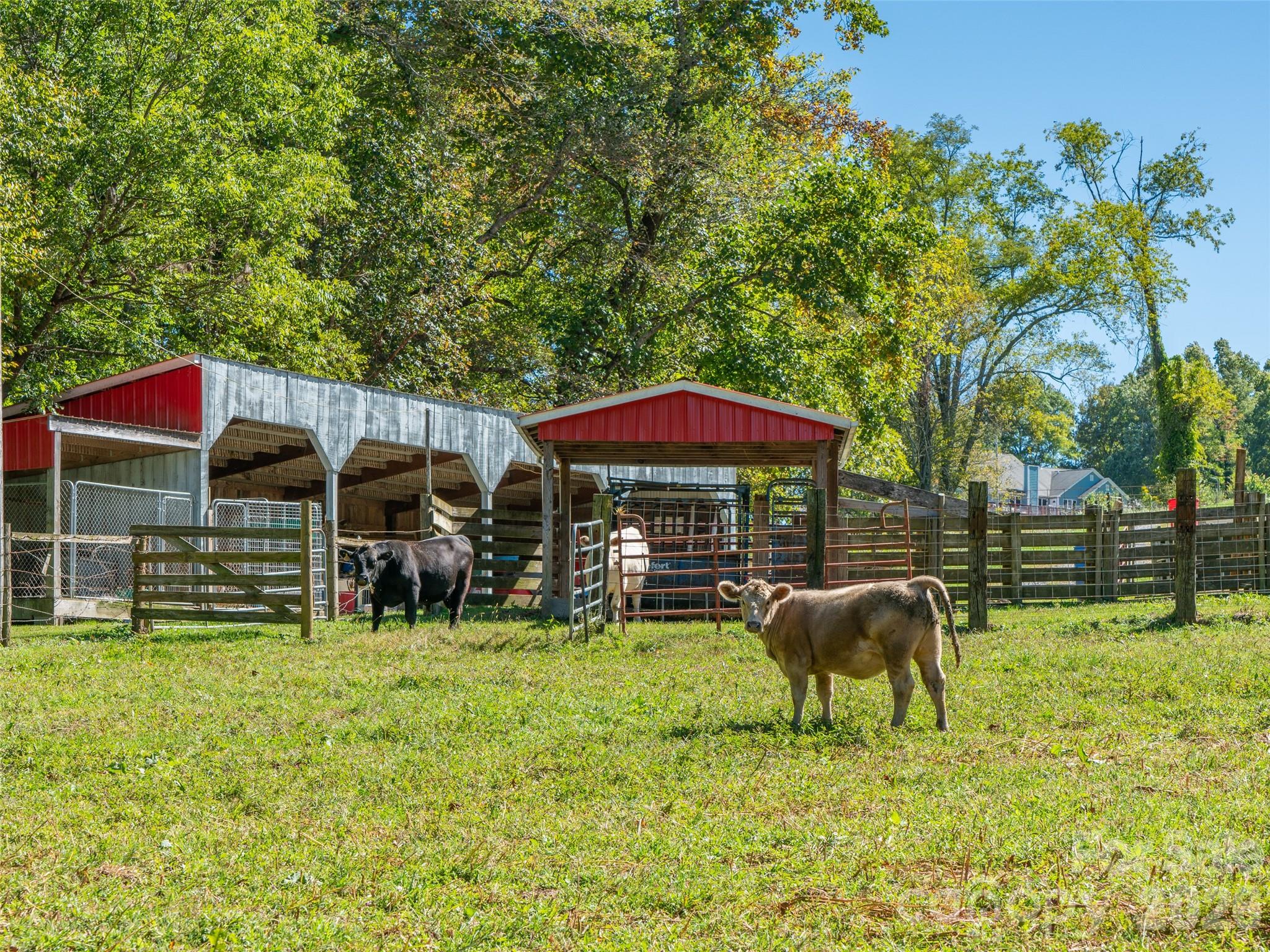 1050 Dale Road Spruce Pine, NC 28777 - Photo 37 of 46