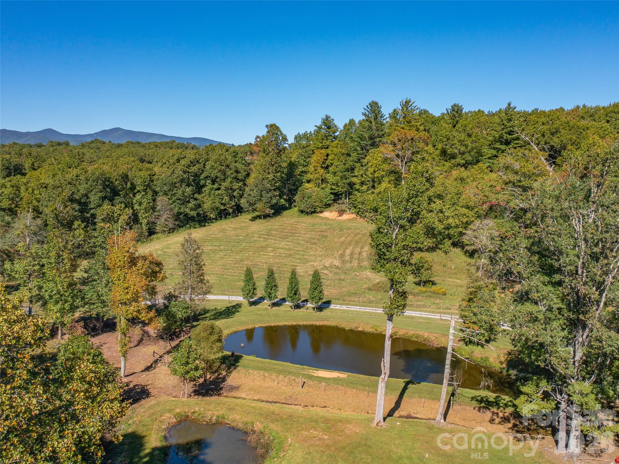 1050 Dale Road Spruce Pine, NC 28777 - Photo 41 of 46