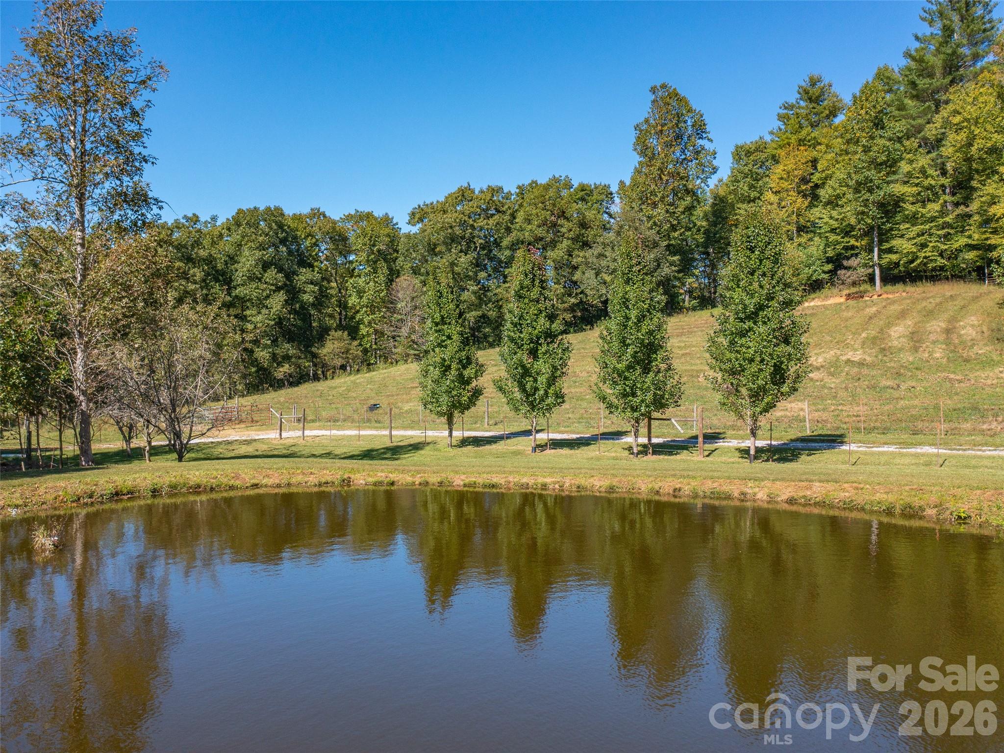 1050 Dale Road Spruce Pine, NC 28777 - Photo 9 of 46 a view of a lake view
