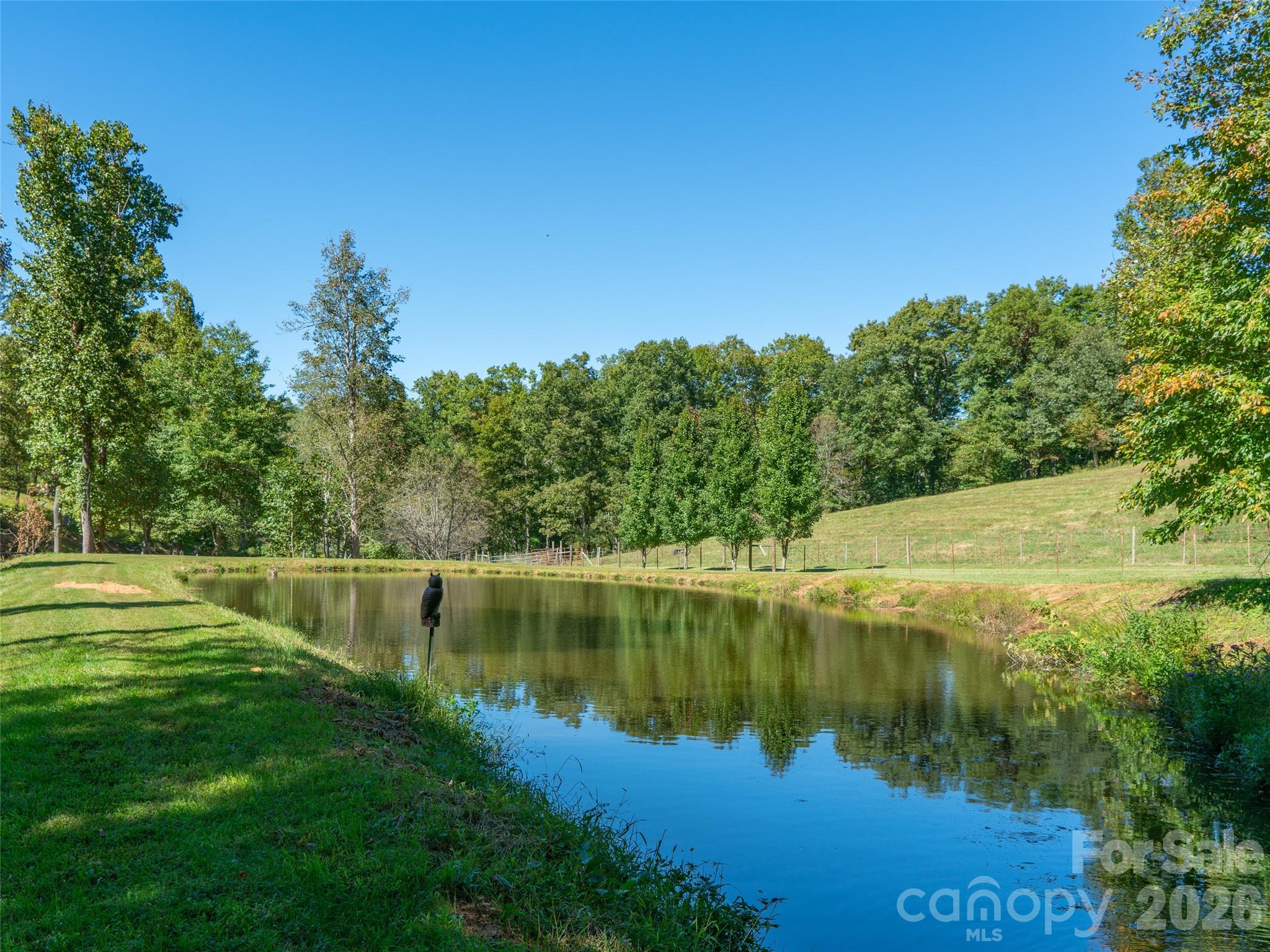 1050 Dale Road Spruce Pine, NC 28777 - Photo 10 of 46 a view of a lake with a yard and large trees