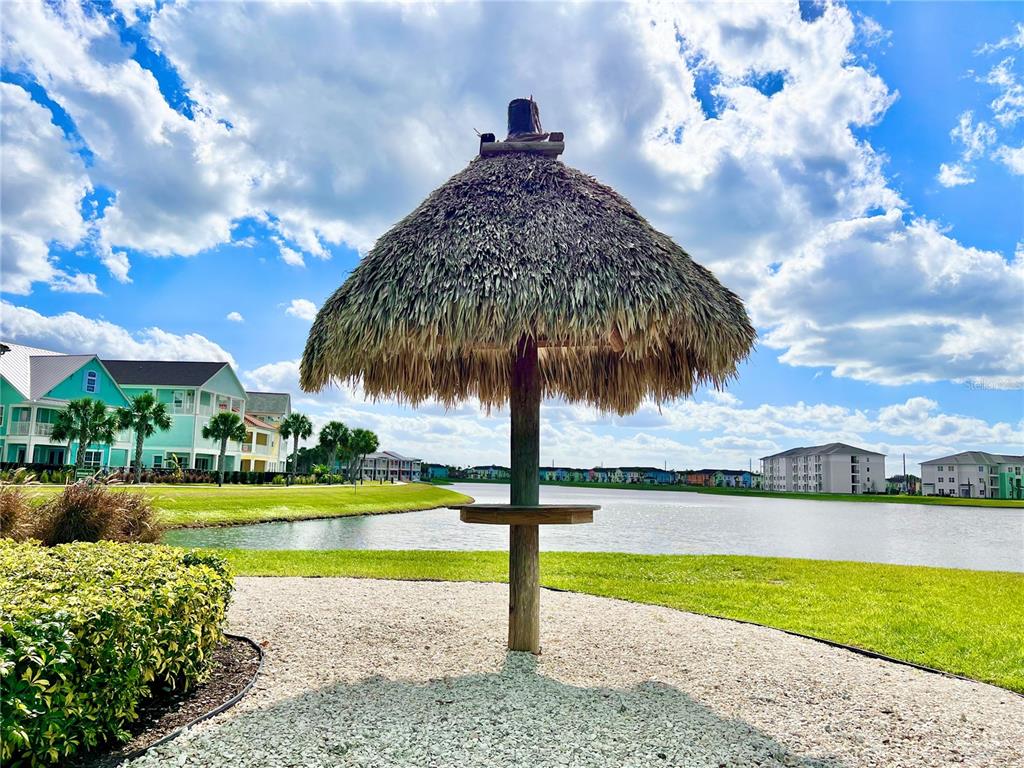 3082 Key Lime Loop Kissimmee, FL 34747 - Photo 51 of 61
