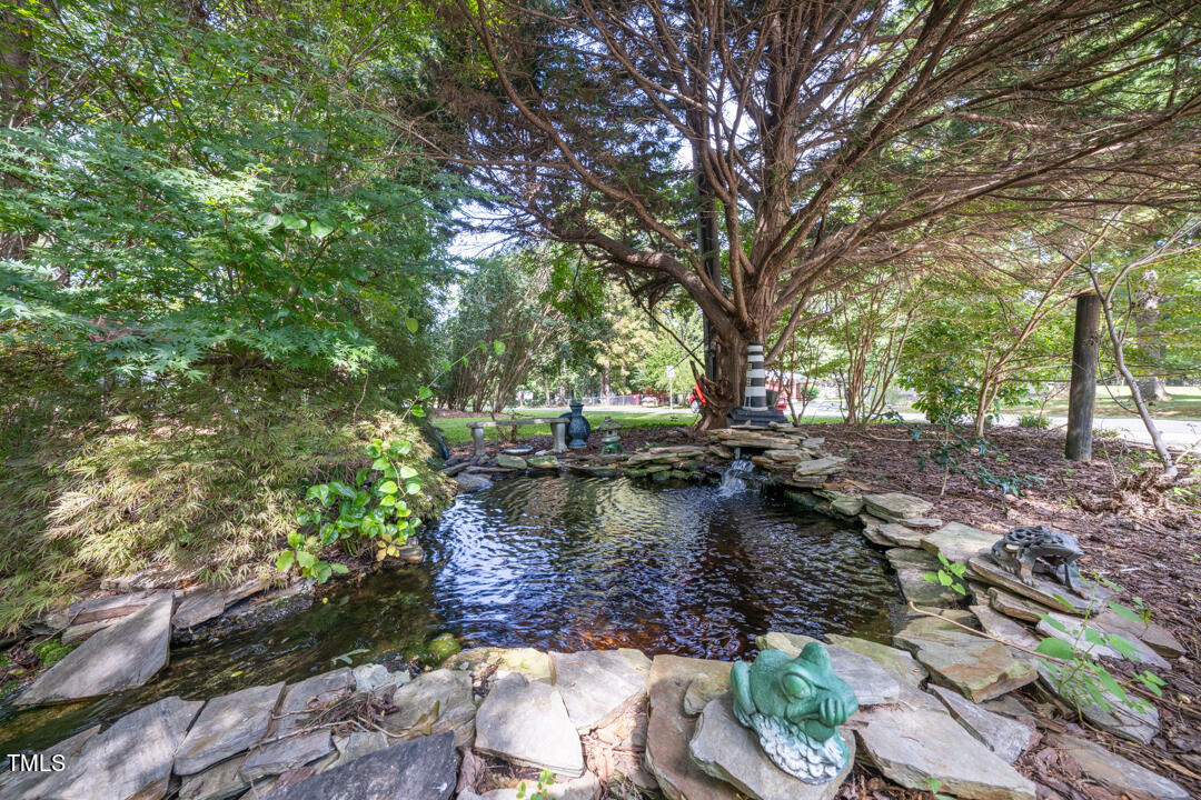 505 Goodwin Road Durham, NC 27712 - Photo 26 of 34 Waterfall
