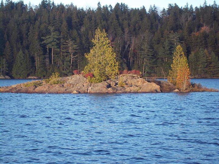 254 Cemetery Road Whiting, ME 04691 - Photo 32 of 35 A rock outcropping in the middle of...