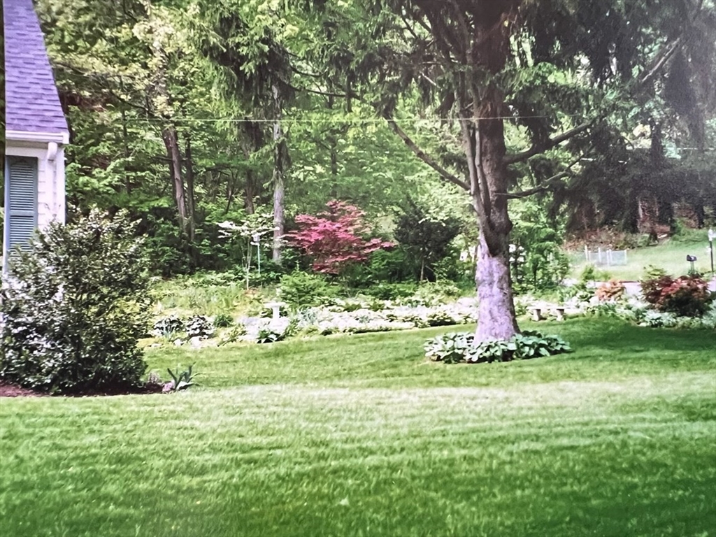21 Lovers Lane Groton, MA 01450 - Photo 28 of 35 a backyard of a house with lots of green space and fountain