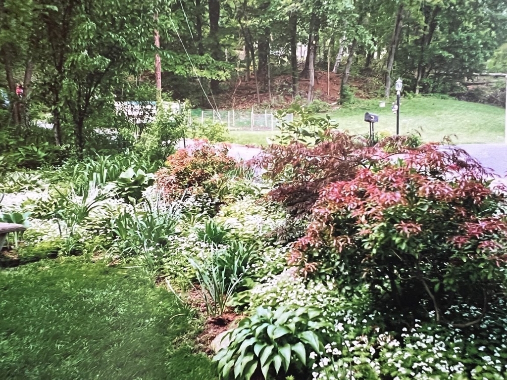 21 Lovers Lane Groton, MA 01450 - Photo 29 of 35 a view of a garden with plants