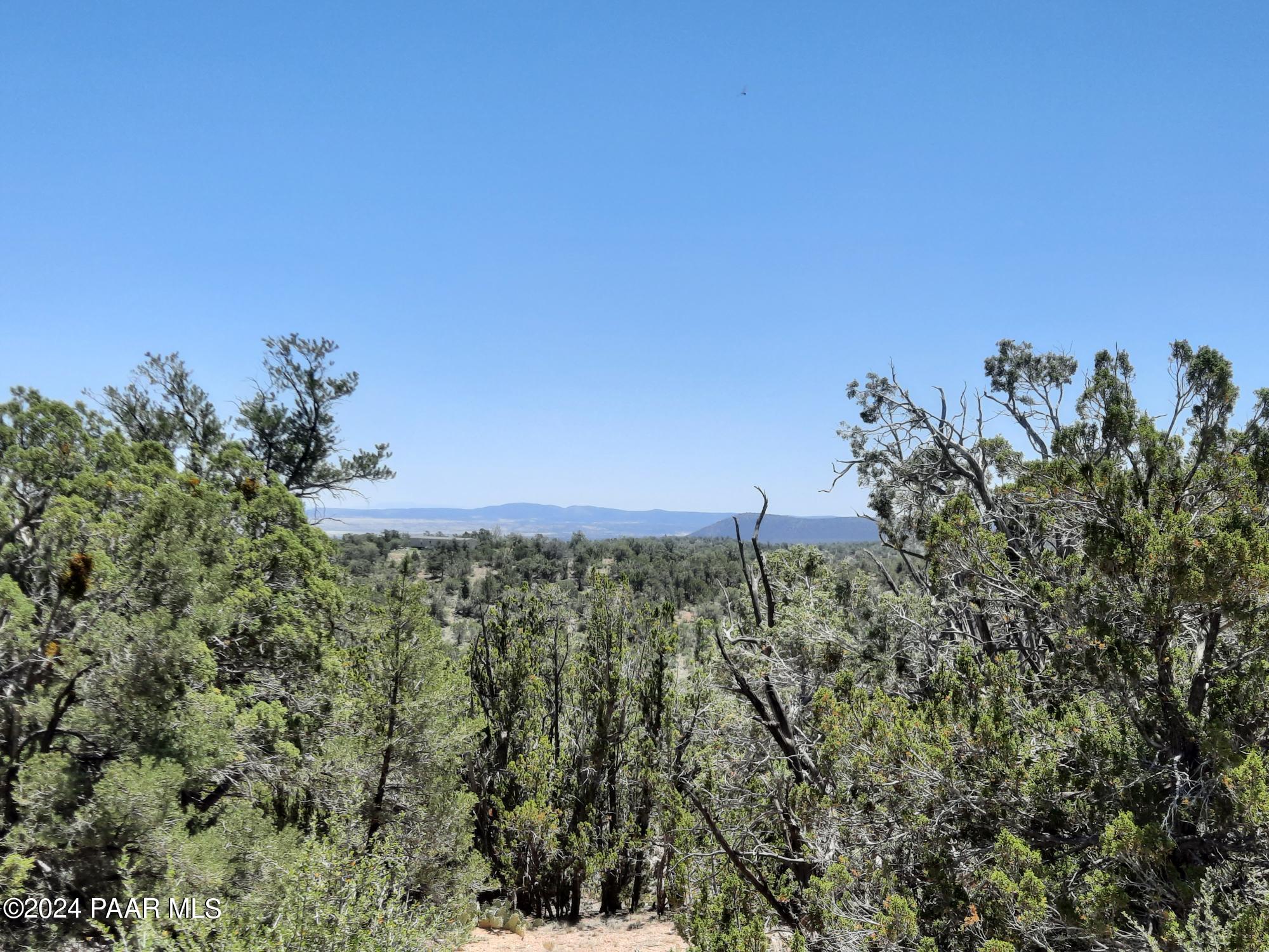 Lot 1404 North Lightning Rdg Road Seligman, AZ 86337 - Photo 1 of 8 cover