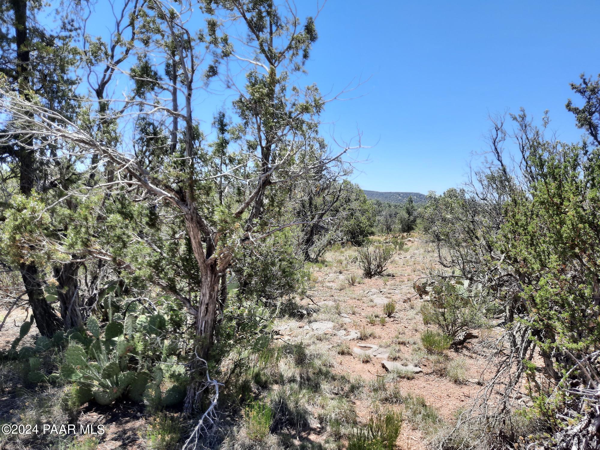 Lot 1404 North Lightning Rdg Road Seligman, AZ 86337 - Photo 4 of 8 20240519_120953