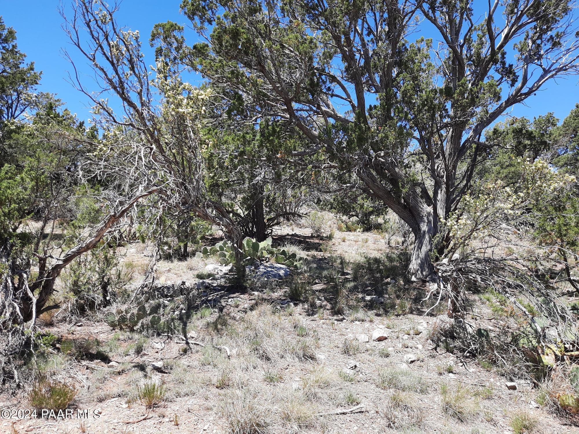 Lot 1404 North Lightning Rdg Road Seligman, AZ 86337 - Photo 6 of 8 20240519_121014