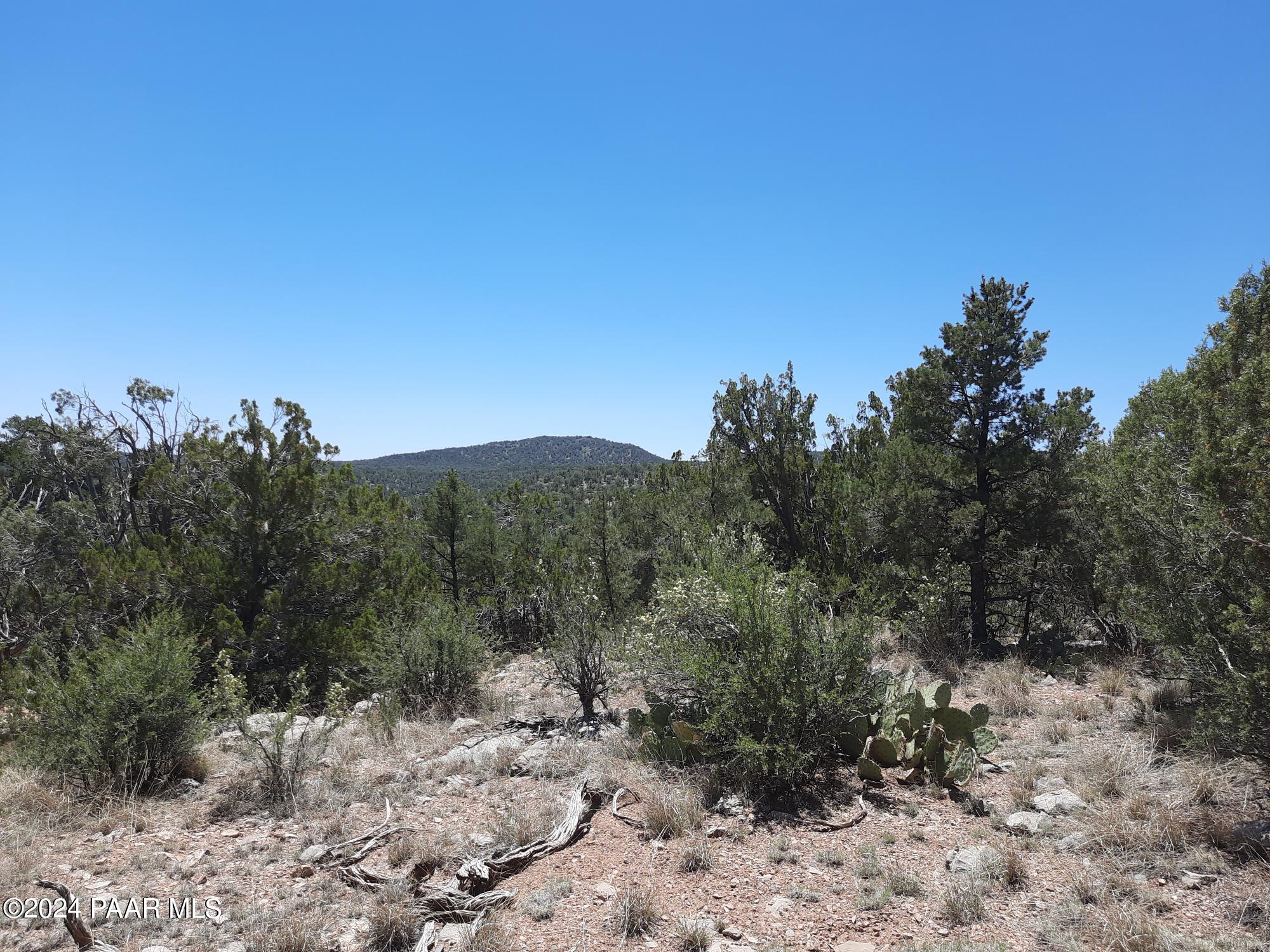 Lot 1404 North Lightning Rdg Road Seligman, AZ 86337 - Photo 7 of 8 20240519_121040