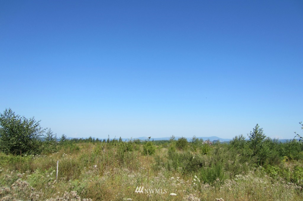 45 Silver Ridge Castle Rock, WA 98611 - Photo 1 of 1