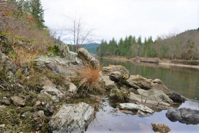 5075 Riverbanks Road Grants Pass, OR 97527 - Photo 13 of 15 DSC_0023