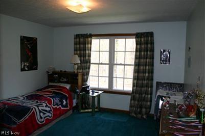 8306 Buffham Road Lodi, OH 44254 - Photo 14 of 17 Gallery Image 14