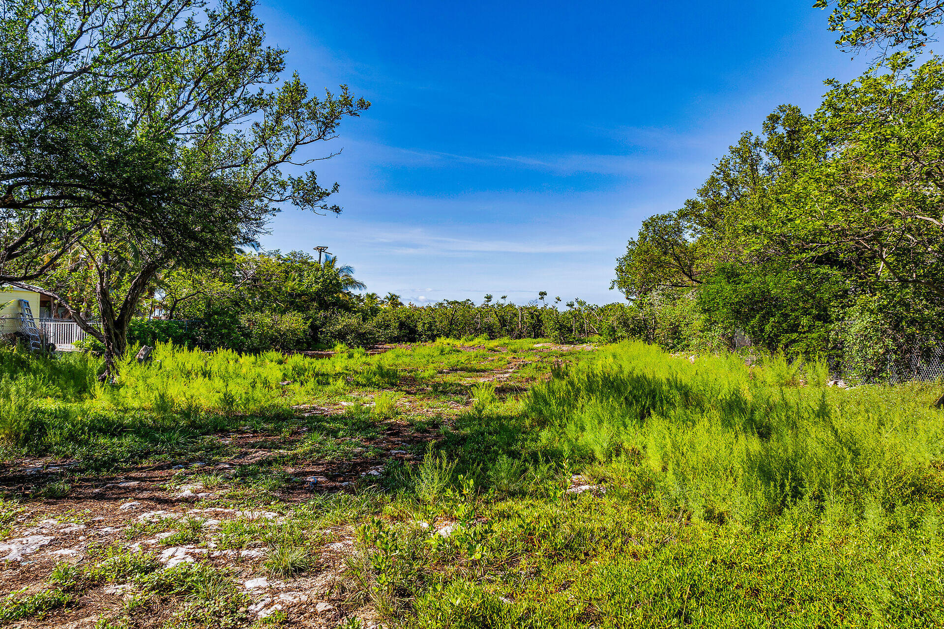 229 Coral Road Islamorada, FL 33036 - Photo 9 of 14 virtual-tour-364204-mls-high-res-image-1