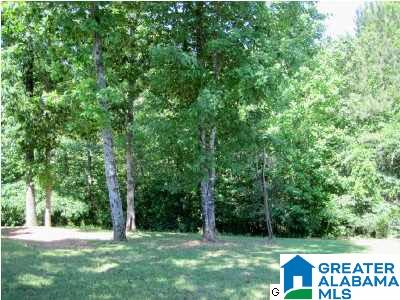 8884 Sharit Dairy Road Gardendale, AL 35071 - Photo 12 of 19