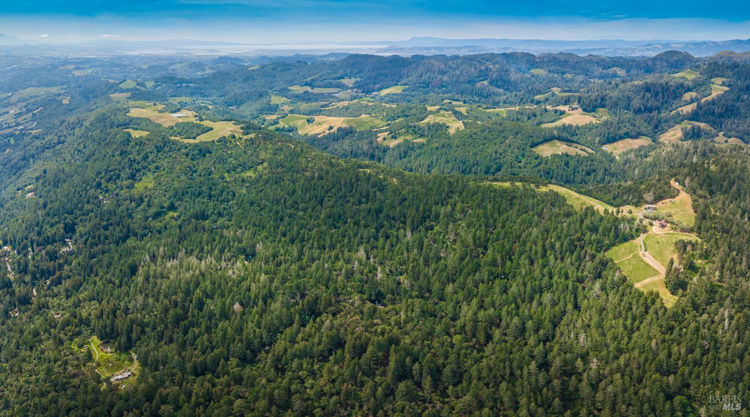 0 Dry Creek Road Napa, CA 94558 - Photo 15 of 98