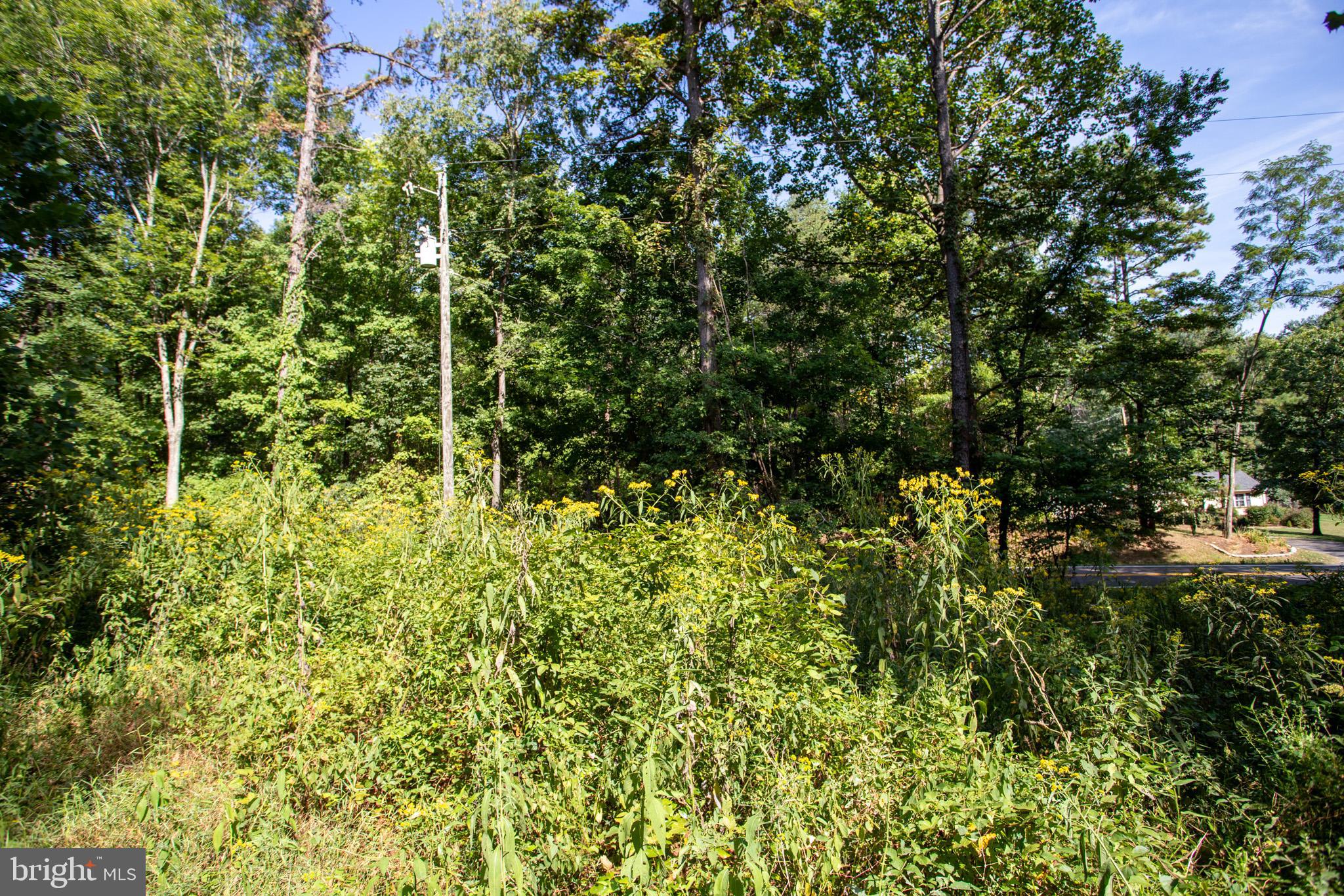 Tbd Jackson Lane Boston, VA 22713 - Photo 10 of 32