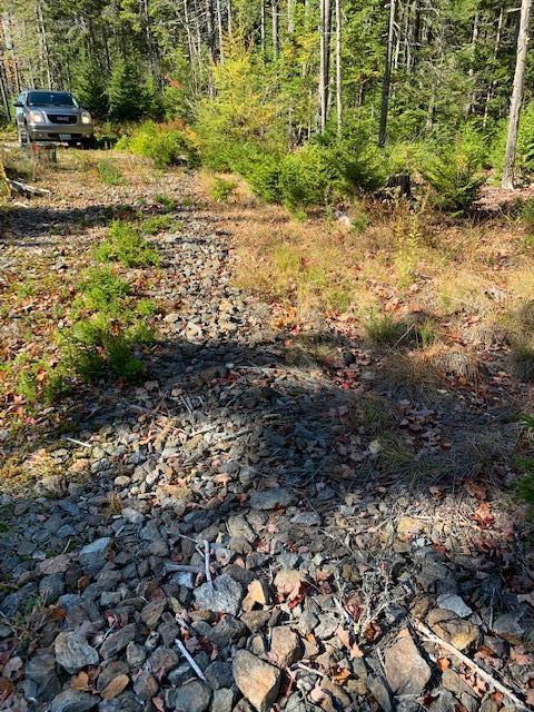 0 Patten Point Road Spruce Head, ME 04859 - Photo 3 of 6 IMG_7874
