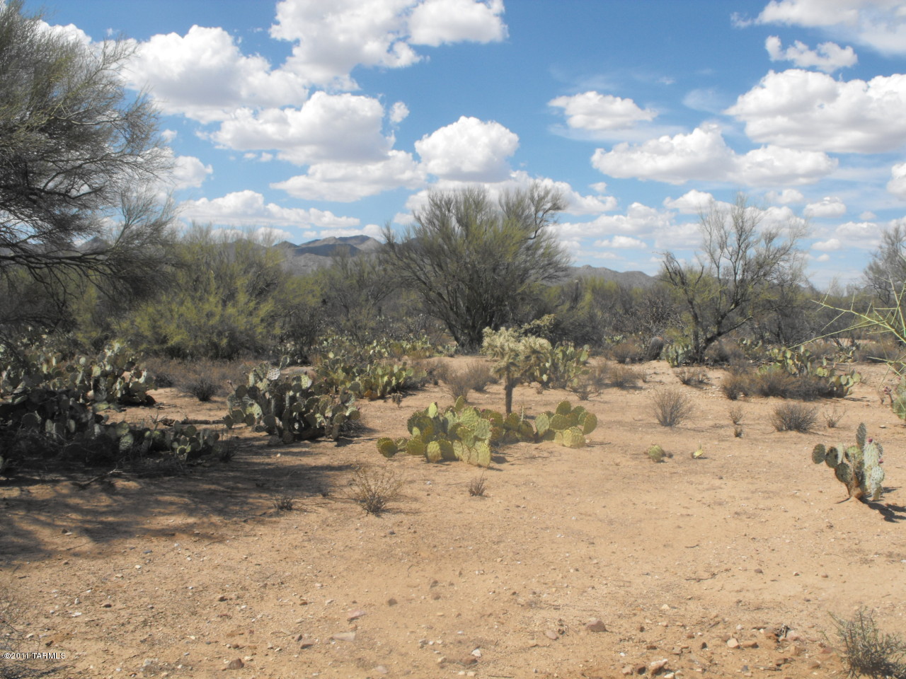 1900 West Sunkist Road Tucson, AZ 85755 - Photo 4 of 6