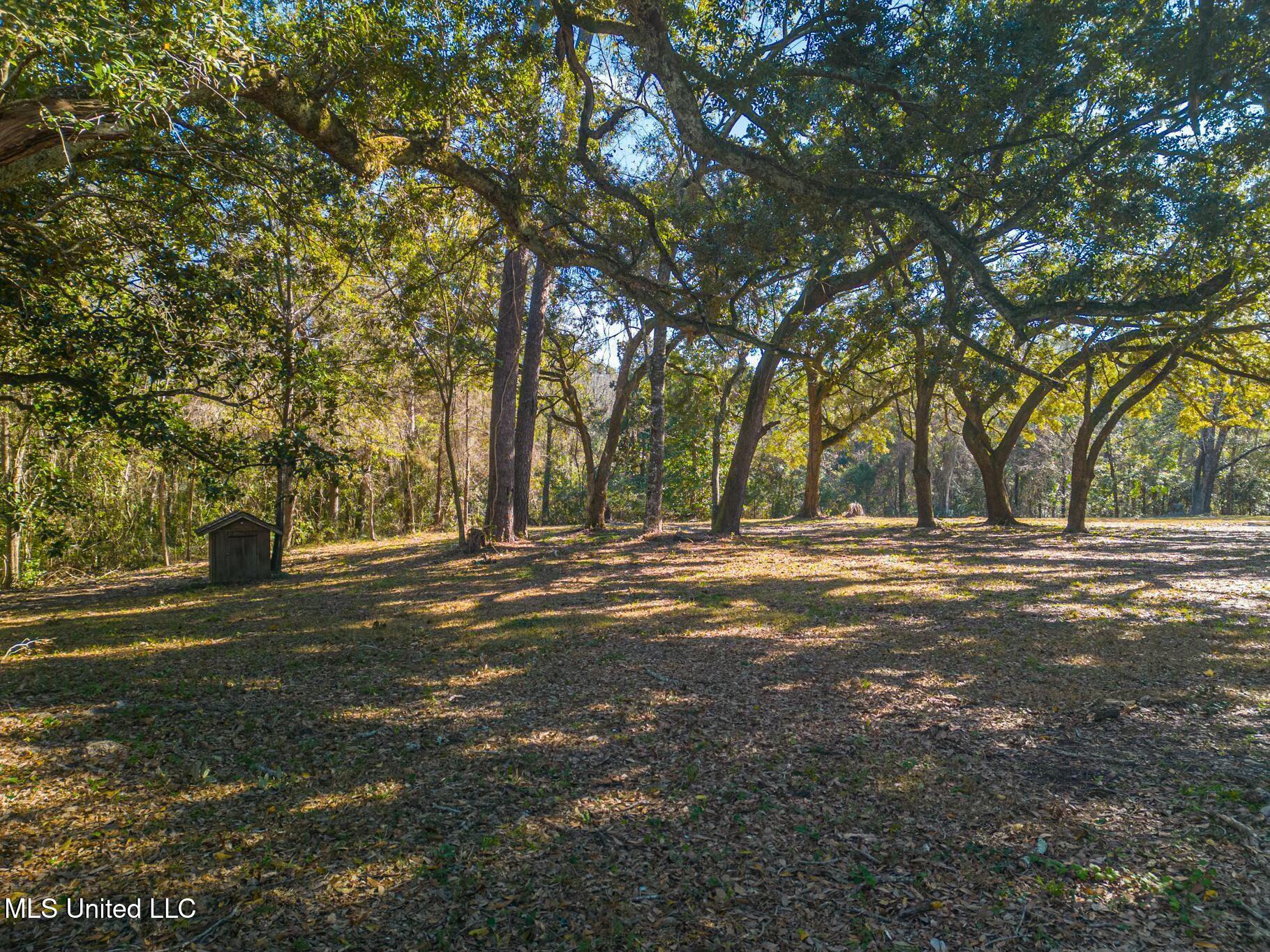 1547 Brodie Road Biloxi, MS 39532 - Photo 6 of 12 tempImagek15BvZ