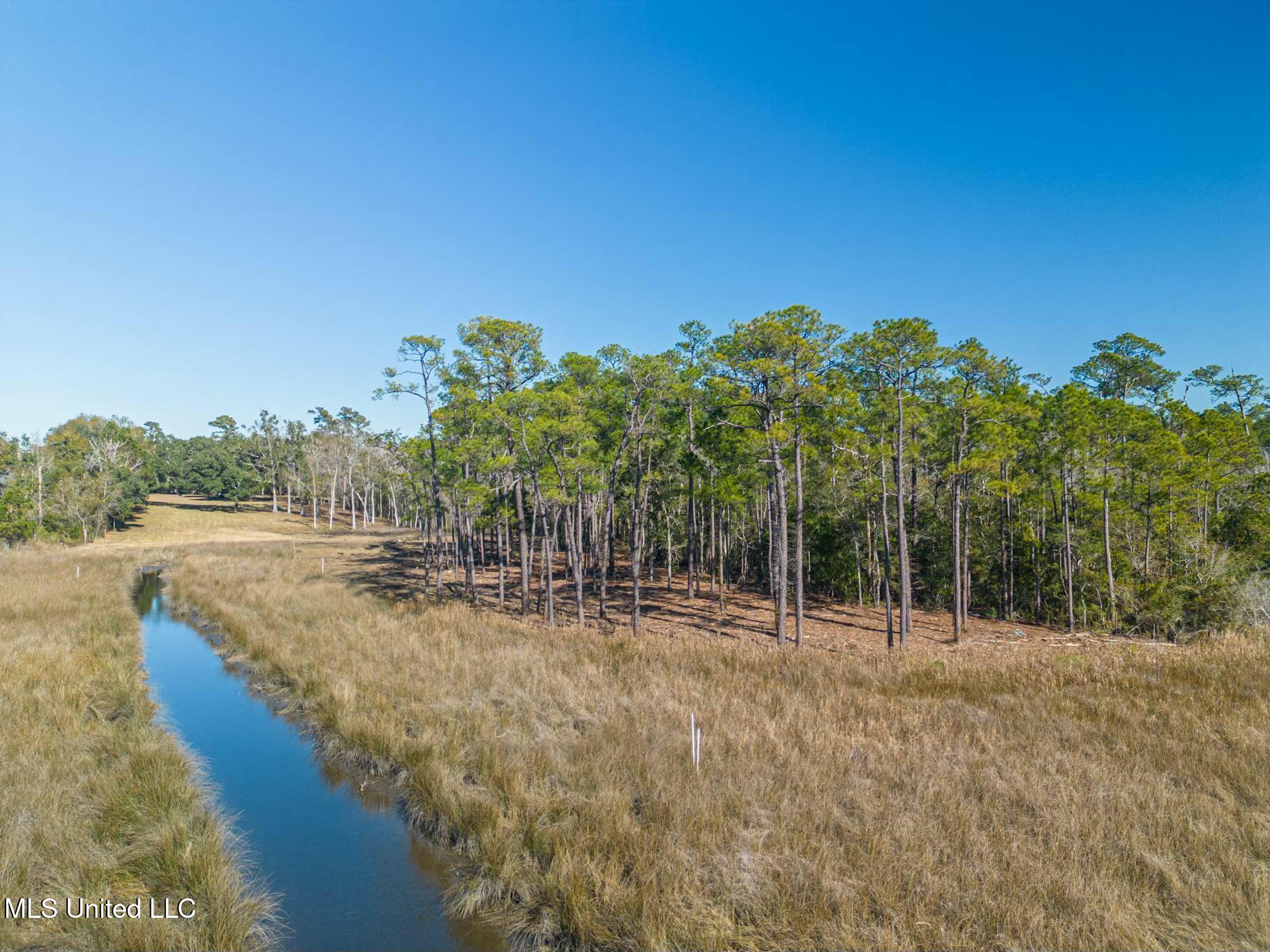 1547 Brodie Road Biloxi, MS 39532 - Photo 9 of 12 tempImagedNYqwl