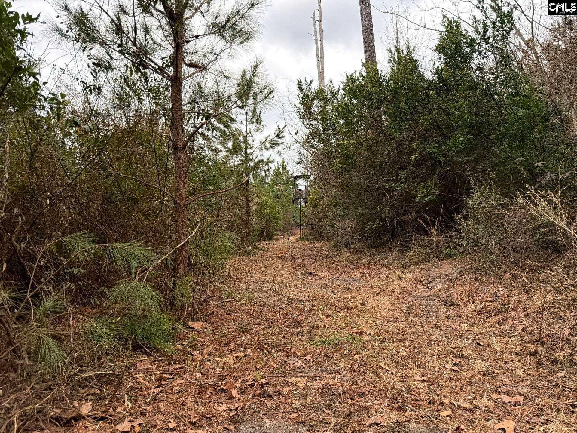 3 Jc Barefoot Road, Unit BFF II 3 Patrick, SC 29584 - Photo 3 of 23