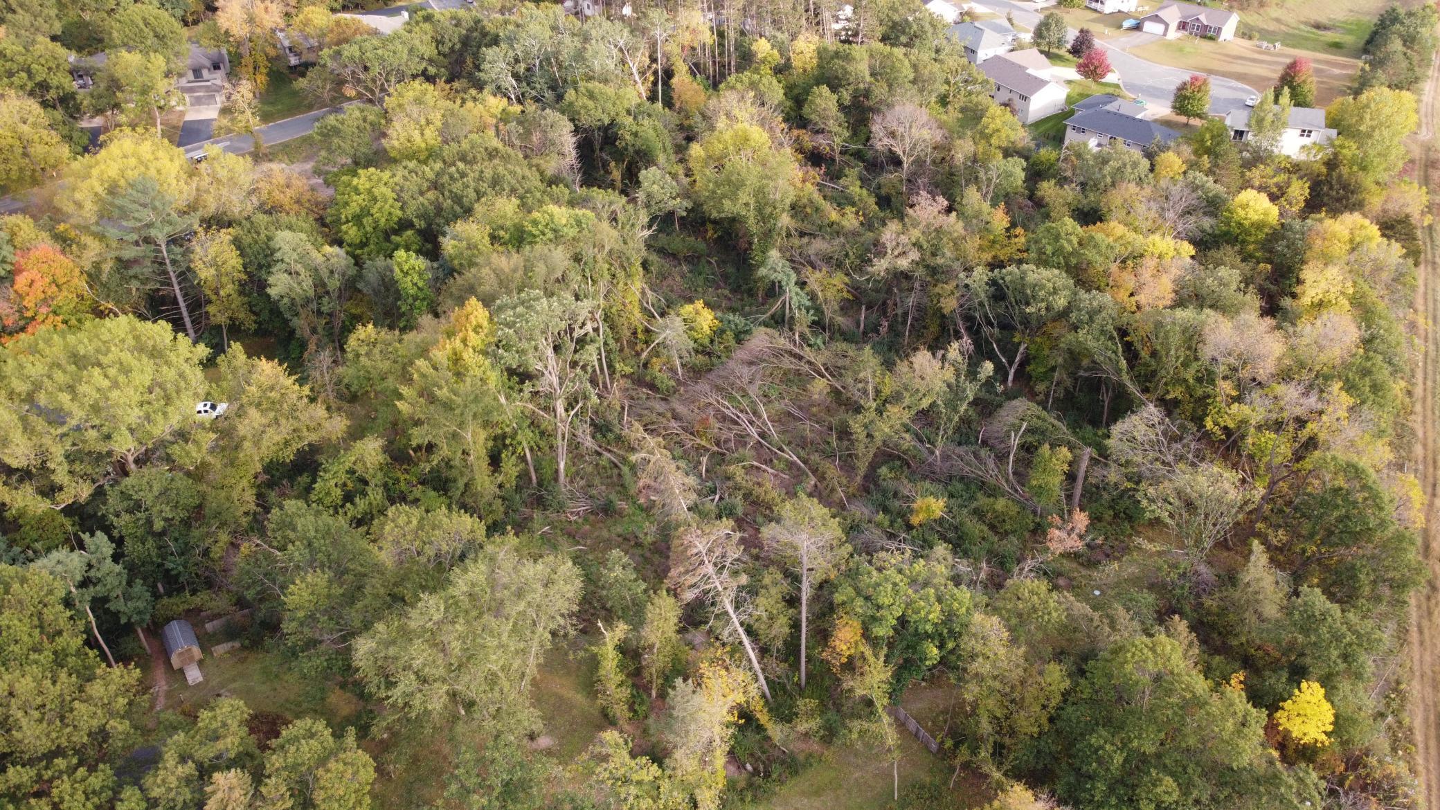 Tbd Tbd 3rd Street Cannon Falls, MN 55009 - Photo 5 of 9