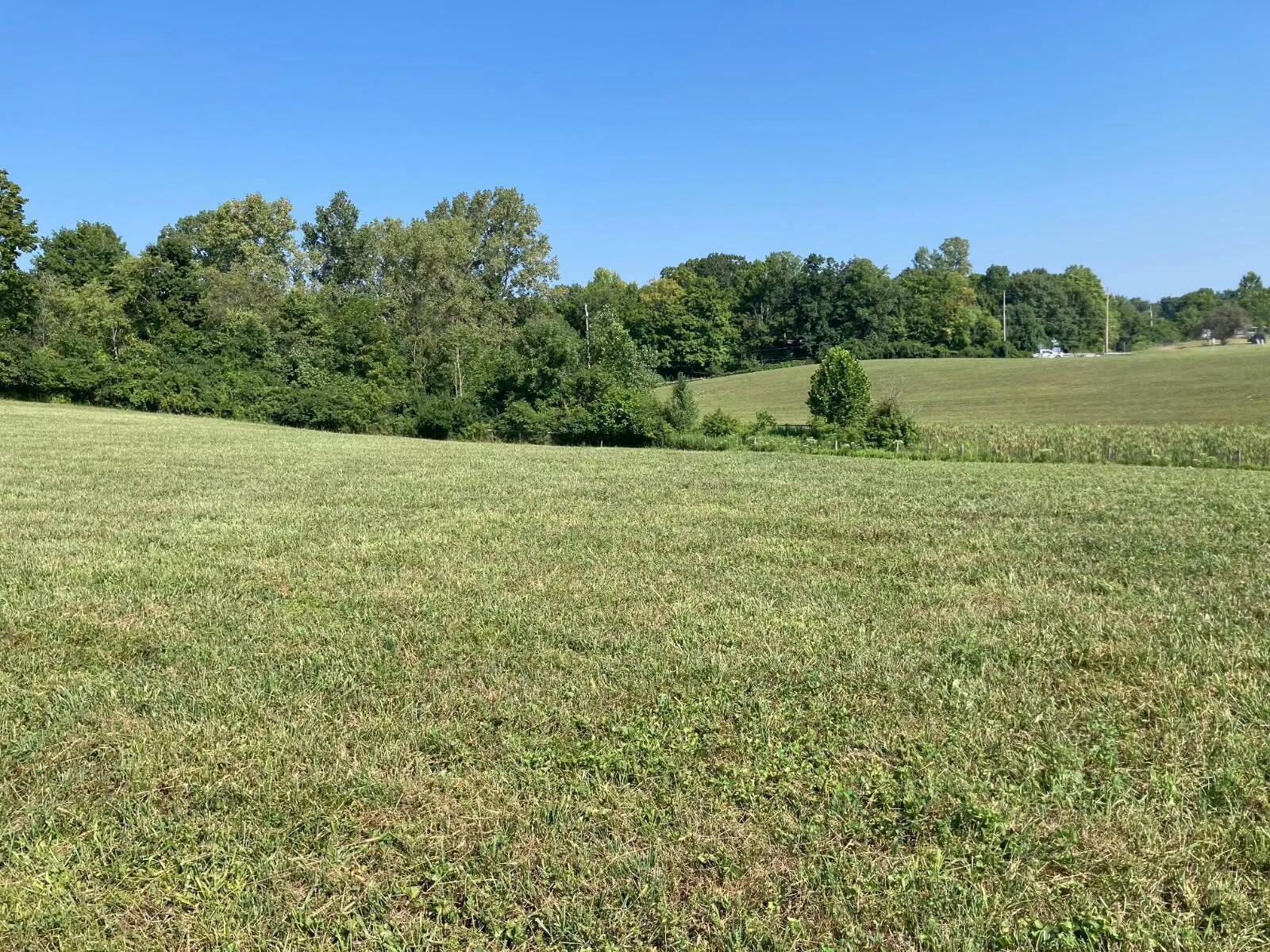 0 Case Road Delaware, OH 43015 - Photo 4 of 5 2