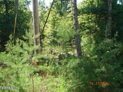 175 Pineridge Loop Crossville, TN 38558 - Photo 1 of 3 175 Pineridge Loop