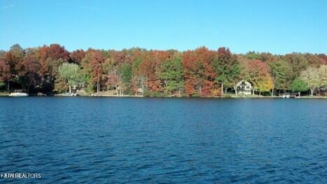 175 Pineridge Loop Crossville, TN 38558 - Photo 2 of 3 Fairfield Glade Lake