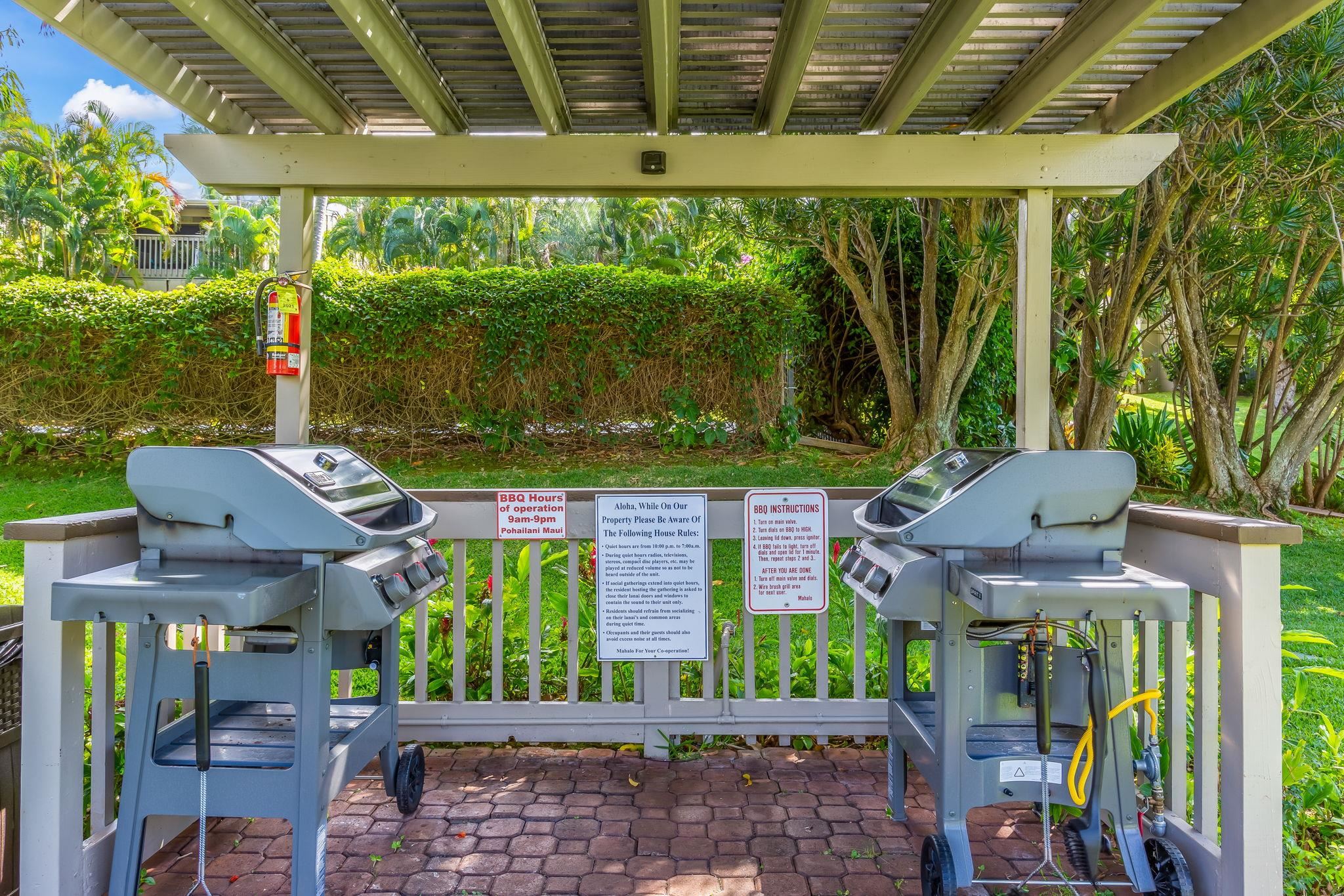 4435 Lower Honoapiilani Road, Unit 116 Lahaina, HI 96761 - Photo 40 of 42 Gallery Image 40