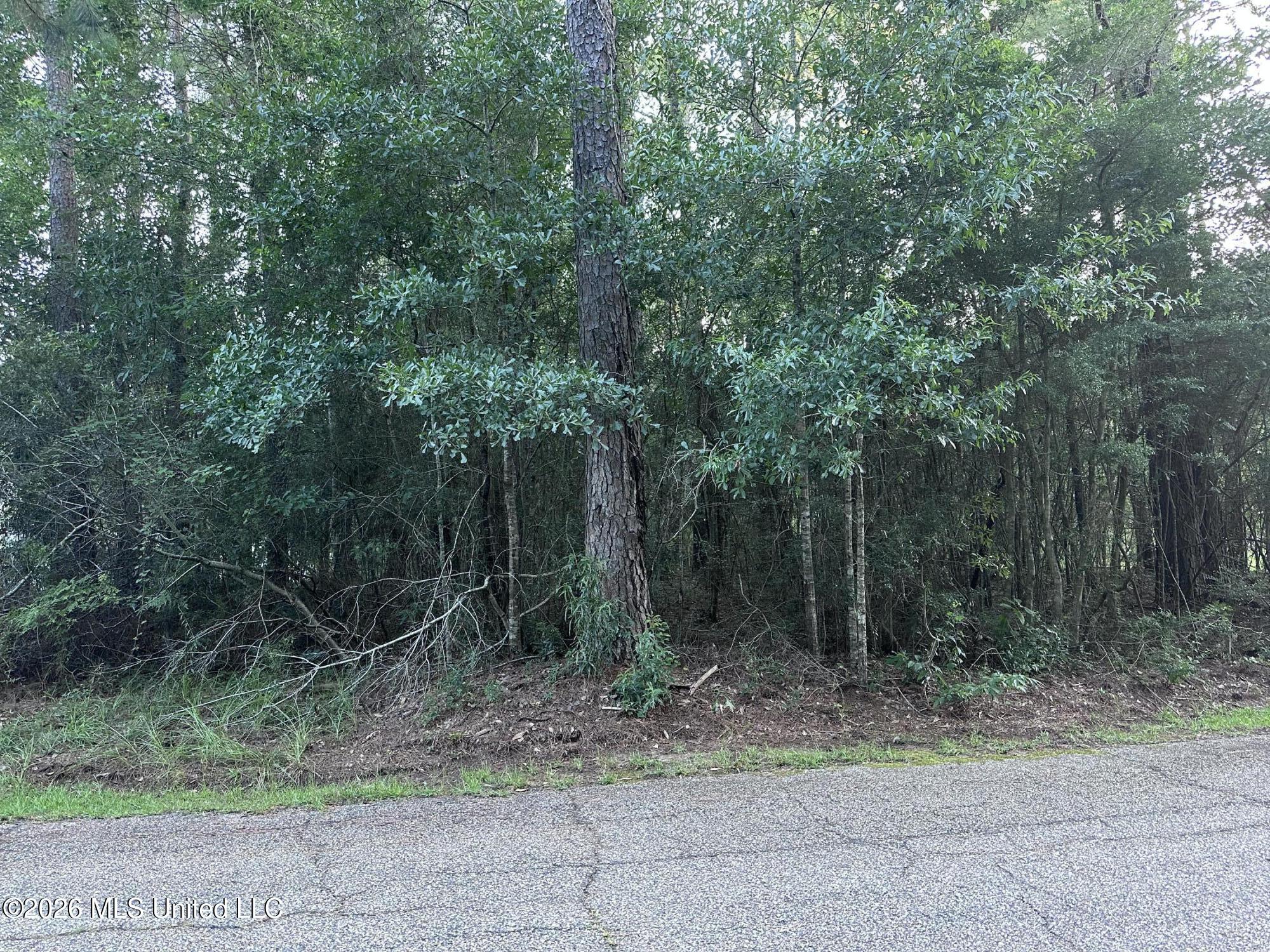 Covered Bridge Road Carriere, MS 39426 - Photo 2 of 5 Land Photo 1 Covered Bridge Rd