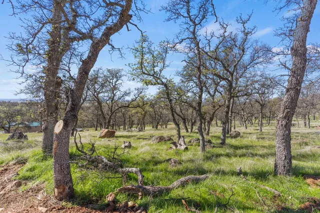 a view of outdoor space with trees all around