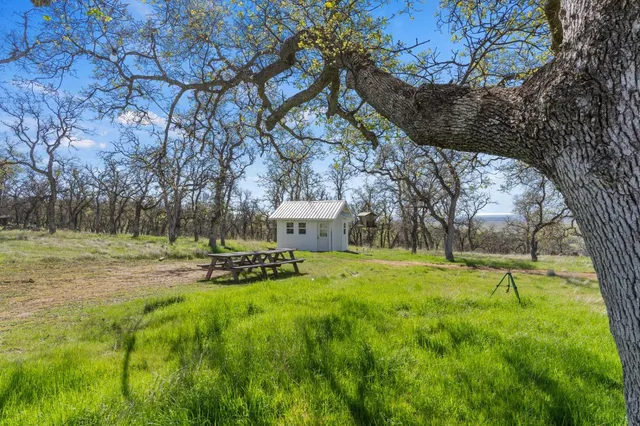 a view of a backyard with large trees