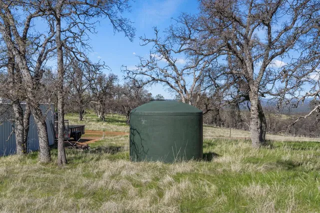a view of a garden with large trees