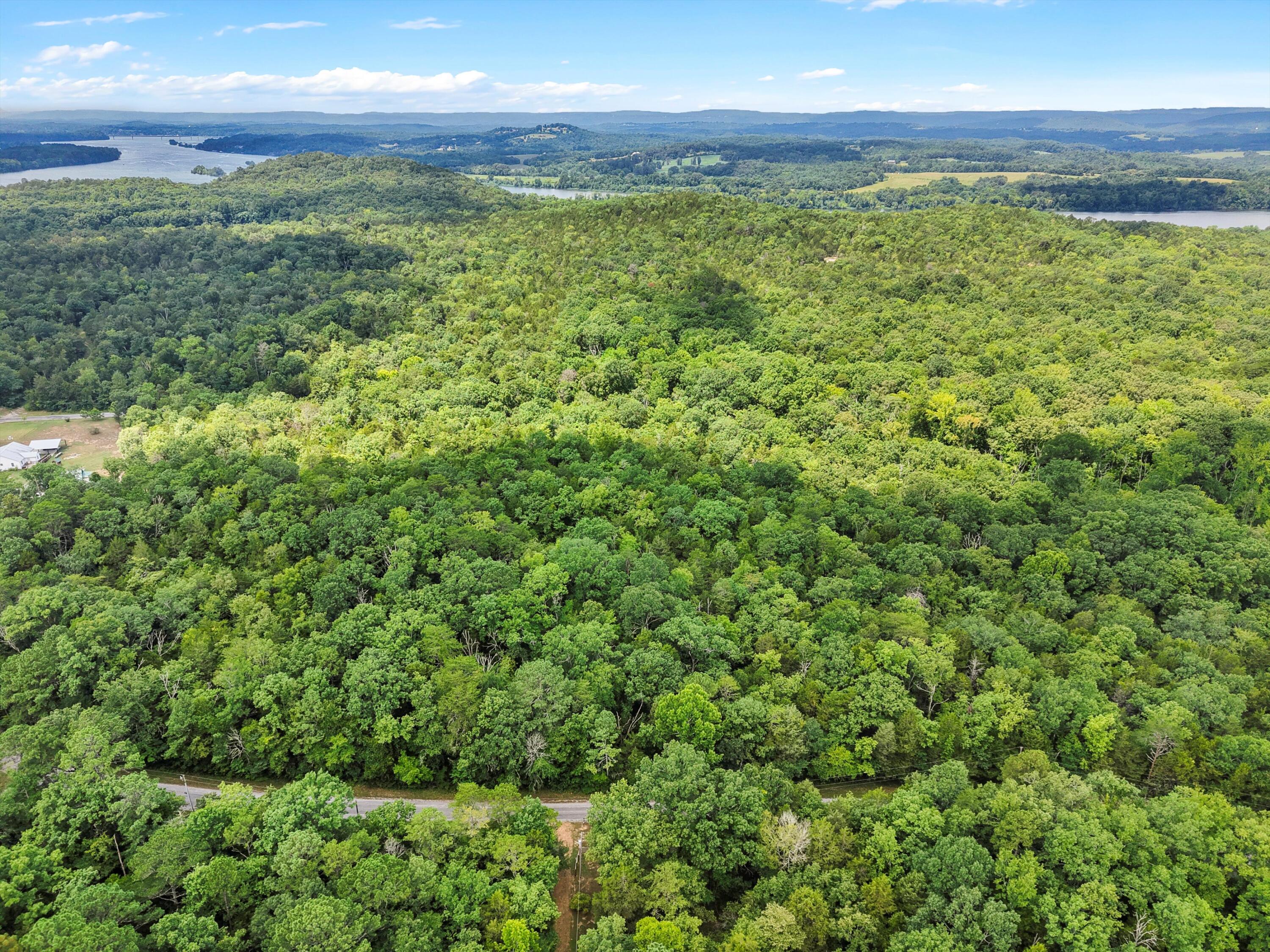 Lot 30 Armstrong Ferry Road Decatur, TN 37322 - Photo 7 of 12 09-DJI_20250723125645_0288_D